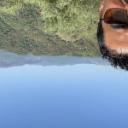 blank-profile-377647