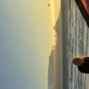 Brigittaprofile image