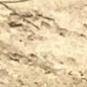 blank-profile-373884