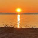 blank-profile-391014