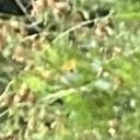 blank-profile-289184