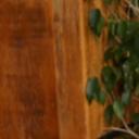 blank-profile-449806