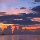 blank-profile-396165