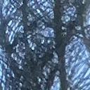 blank-profile-448464