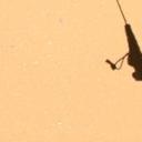 blank-profile-424405