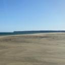 blank-profile-387136