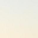 blank-profile-258724