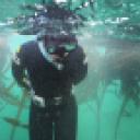 blank-profile-186153