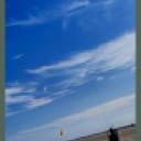 blank-profile-288612