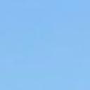 blank-profile-371239