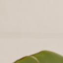 blank-profile-378614